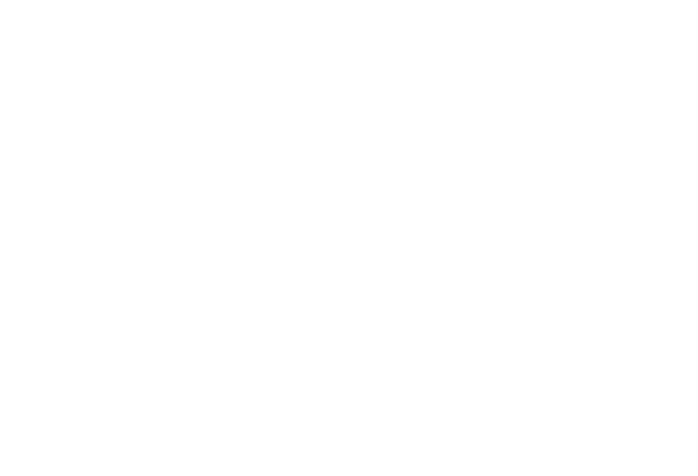 TransPerfect Gaming Solutions